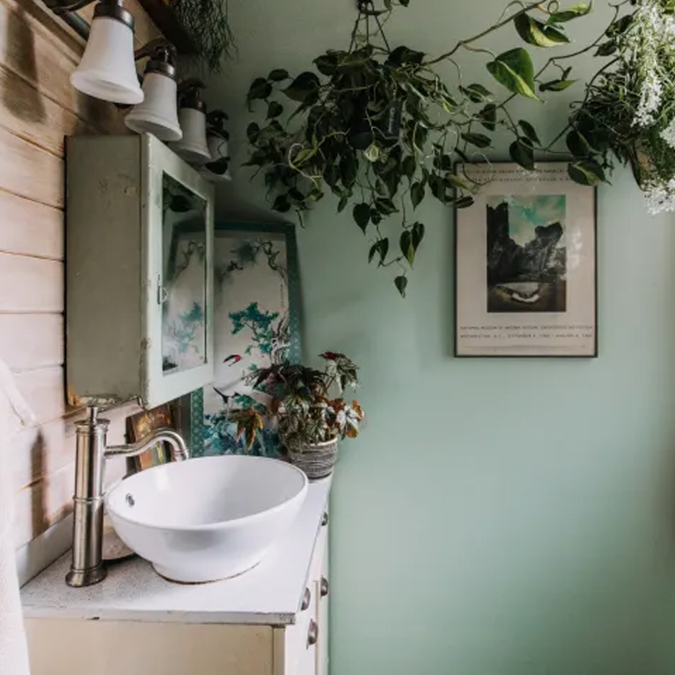 The 10 Best Houseplants for Your Bathroom